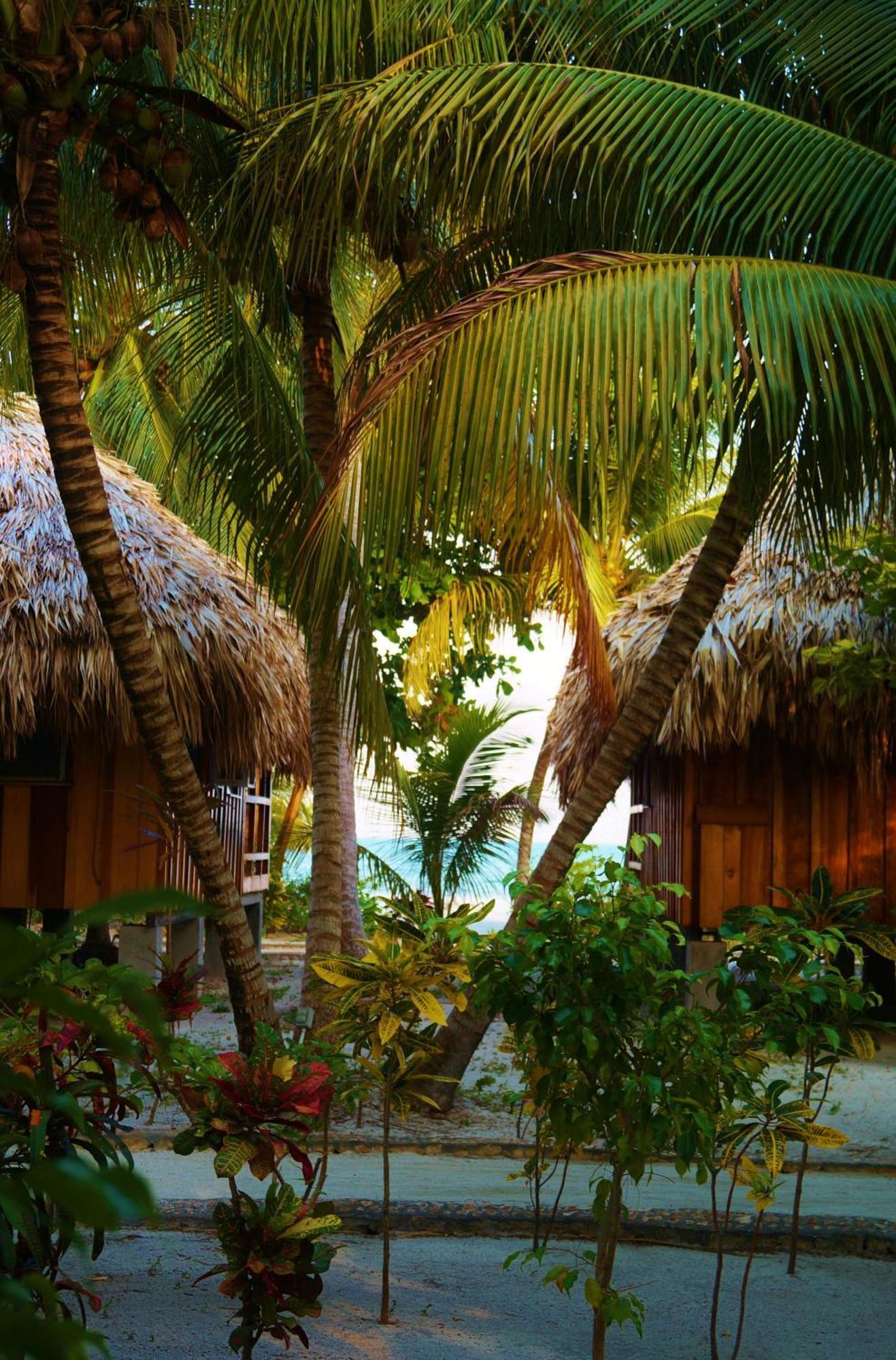 St. George'S Caye Resort Belize City Rum bild